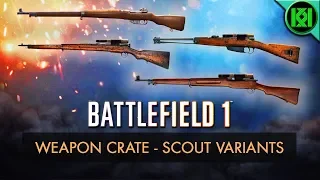 Battlefield 1: NEW SCOUT VARIANTS REVIEW (Weapon Guide) | BF1 Weapons Crate Update | BF1 Gameplay