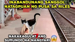 INABANDUNANG SANGGOL, NATAGPUAN NG PUSA SA RILES NAKAKAGULAT ANG SUMUNOD NA NANGYARI!