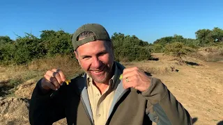 Zambia 2019 Sun Africa Safaris (VanNoordwyk)