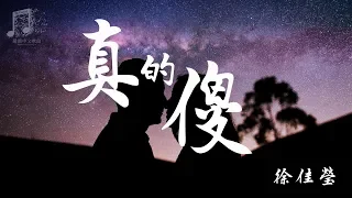 徐佳莹 - 真的傻 『超高音質』【動態歌詞Lyrics】