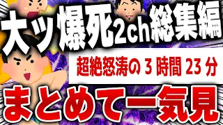 【ｷﾓ面白い2chスレ】総集編！笑えるのになぜか大爆死した2chネタまとめ【作業用】[ ゆっくり解説 ]