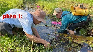 Kích cá để giành ăn Tết, 1 tiếng bắt gần 10 kilo cá lóc, quá đã mọi người ơi, phần 1,electrofishing