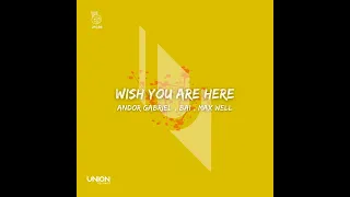 Max Well, Andor Gabriel, BAI _ Wish You Are Here (Extended Mix)