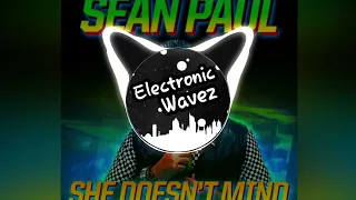 Sean Paul - She Dosent Mind  (ElectronicWavez Remix)