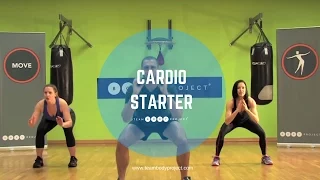 Low Impact 30 minute cardio workout- Beginner/intermediate