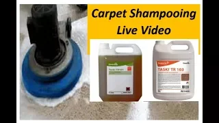 Carpet shampooing by TR101 & TR103 Single Disk Machine