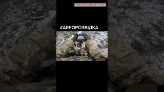 😅 "Трішки погано видно" Помічник аеророзвідки знає свою справу