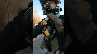 Chihuahua in Helmet Rides Motorcycle 😍