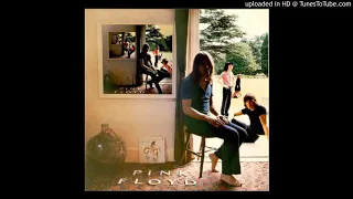 03. Several Species Of Small Furry Animals Gathered Together In A Cave Etc. - Pink Floyd - Ummagumma