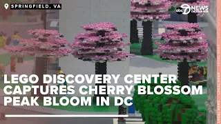 Master Model LEGO Builder Debuts Cherry Blossom Peak Bloom Display