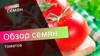 📹  Обзор семян томатов на 2019 год 🍅 В Гостях у Агронома