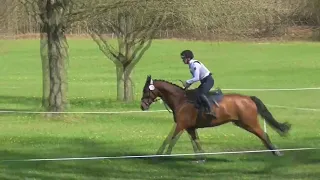 2023 04 30 Best Buddy CCI* Intro in Luhmühlen