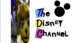 Summer 1993 Disney Channel Commercial Breaks + Promos