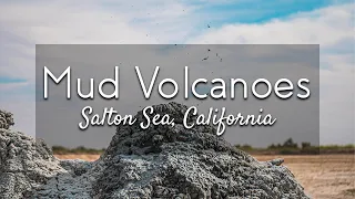 Mud Volcanoes at the Salton Sea | Out in the Field with Jeremy Patrich