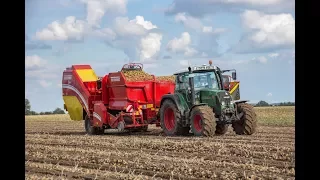 Kartoffelernte 2017, Fendt 411 , 415 , Grimme SE 75-55 Bunkerroder , Grimme Reihenleger WR 200