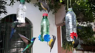 Bebedouro para Beija-flor! Passo a passo! Fácil de fazer!