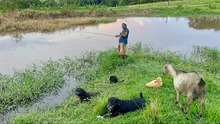 ￼ irmã Nadir todos os dias vai pescar com seus melhores amigos # vida simples da roça…