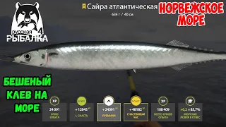 ОТЛИЧНЫЙ КЛЕВ ВЕРНУЛСЯ НА НОРВЕЖСКОЕ МОРЕ В РУССКОЙ РЫБАЛКЕ 4 РР4