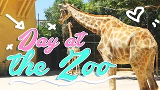 Day at the Zoo!