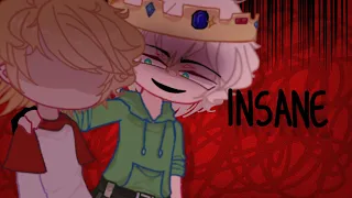 || INSANE || Gc dsmp​ || dsmp​ S2​ || AU ||