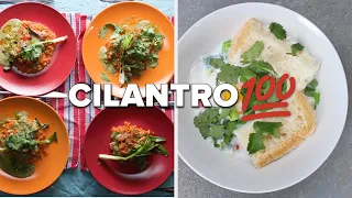 Everything You Can Do With Cilantro • Tasty Recipes