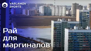 Огромные муравейники в полях