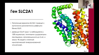 14   «Молекулярно генетические маркеры эпилепсии»