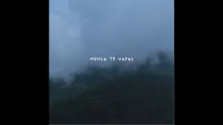 Arroba Nat - Nunca Te Vayas (Audio)