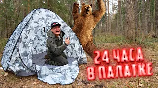 24 часа в палатке в лесу. На нас напал медведь!