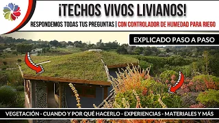 ¡TECHO VIVO explicado PASO a PASO! 6 años, 6 techos vivos y queremos compartirte nuestra experiencia
