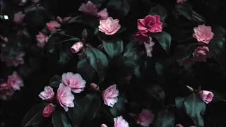 All To You - Sabrina Claudio (slowed)