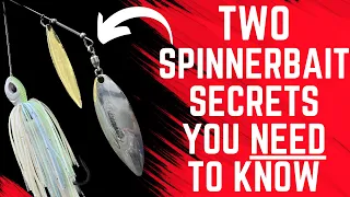 Two SPINNERBAIT Secrets You NEED To Know!