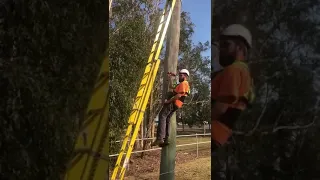 Pole Grab Ladder Safety Kit showing Unique Self Rescue Descending