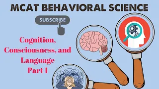 MCAT Behavioral Science: Chapter 4 - Cognition, Consciousness, and Language (1/1)