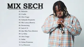 Mix Sech | Lo Mejor de Sech - Sus Más Grandes Éxitos 2021 | Reggaeton Mix 2021