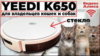 РОБОТ ПЫЛЕСОС YEEDI K650 (YEEDI K651G) - НЕДОРОГОЙ, С УМНОЙ ВЛАЖНОЙ УБОРКОЙ | ПОДРОБНЫЙ ОБЗОР И ТЕСТ