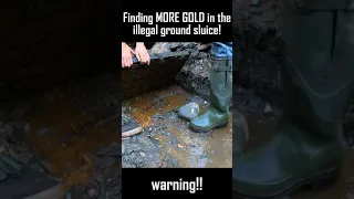 Finding MORE GOLD in the illegal ground sluice!!! part 5