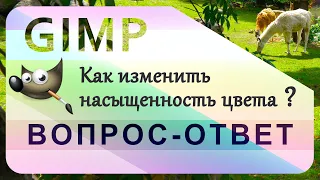 7. Как изменить насыщенность цвета на фотографиях в GIMP.