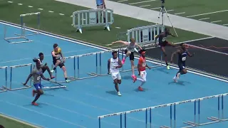 2023 IHSA Boys State Championship  - Class 2A 110m Hurdle Final