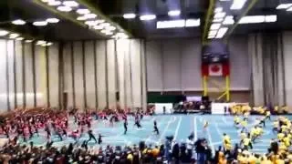 Guinness World Record: Largest Dodgeball Game