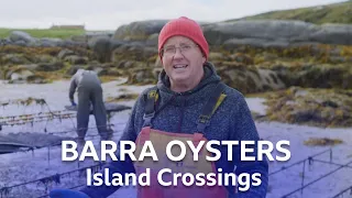 Oyster Farming on Barra | Island Crossings | BBC Scotland