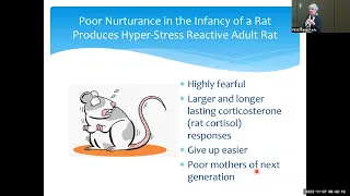 Calibration and Recalibration of the Mammalian Stress System