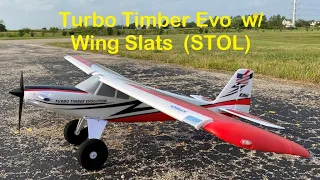 Turbo Timber Evolution w/ Wing Slats (STOL)