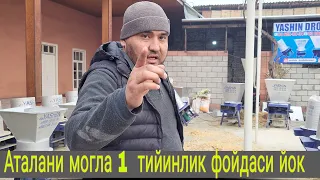 Аталани Молга 1 тийинлик Фойдаси Йок!