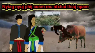 Neej neeg-pog nyiaj hua nyiag kuv 3tug nyuj phij cuam rau ntxhai thiaj npam 21/3/2024​