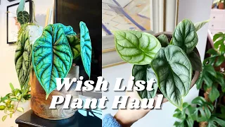 Wish List Plant Haul | Alocasia Dragon Scale and More | PLNTS.COM