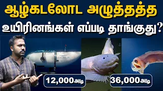 36,000 அடி ஆழத்தில் உயிர்கள் வாழ்வது எப்படி? | How some animals survive 36,000 ft under water?