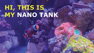 My Nano Reef Tank Water Changing Routine | Reefing On