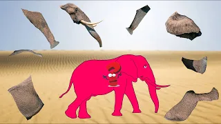 CUTE ANIMALS Indian Elephant in the Desert Puzzle 귀여운 동물 사막의 인도 코끼리 퍼즐