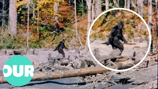 The Hunt For Bigfoot | Our World